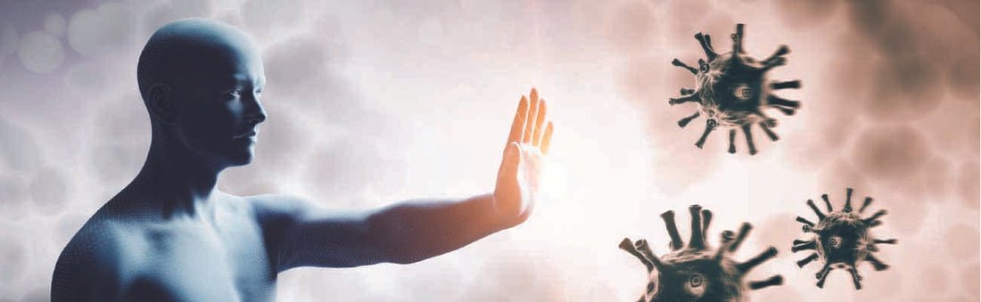 Header immune support