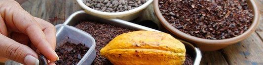 Benefits of Cacao consumption