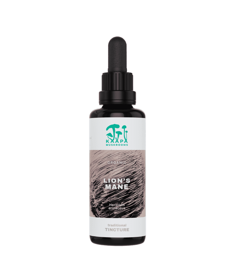 Buy KÄÄPÄ Mushrooms Lion's Mane Organic Tincture 50ml at LiveHelfi