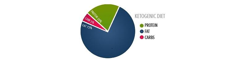 The ketogenic diet explained