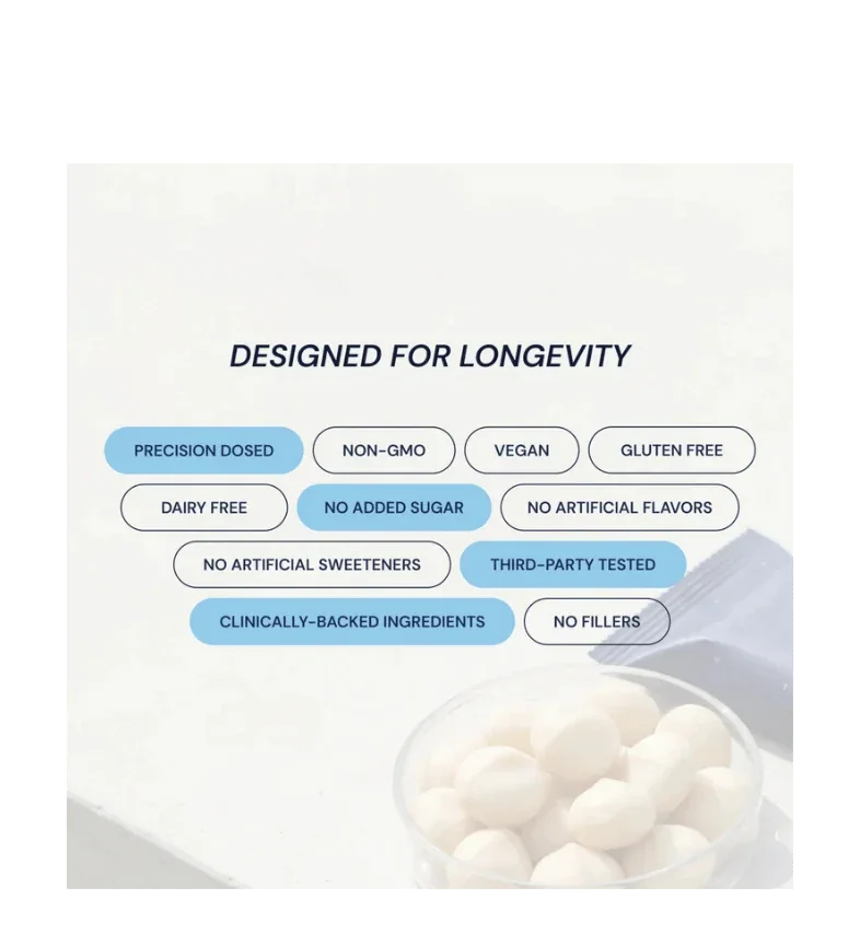 Buy Blueprint Macadamia Protein Bar Variety Pack at LiveHelfi