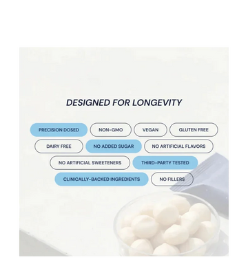 Buy Blueprint Macadamia Protein Bar Variety Pack at LiveHelfi