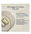 Buy Blueprint Omega-3 at LiveHelfi