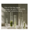 Buy Blueprint Omega-3 at LiveHelfi