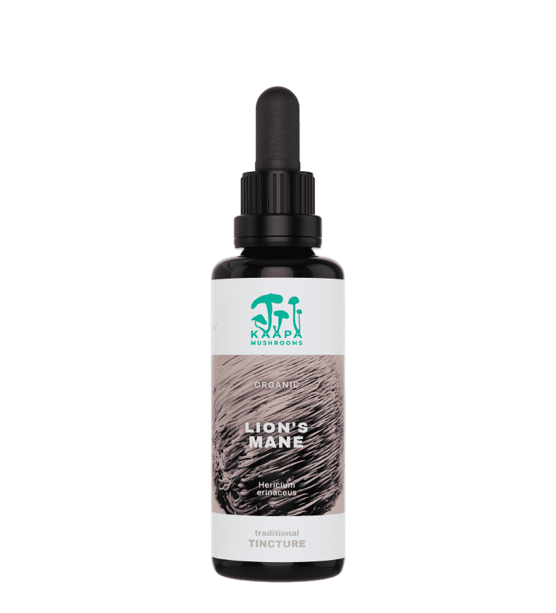 Best Lions Mane Tincture