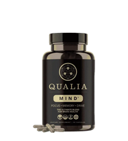 Qualia Mind 2.0