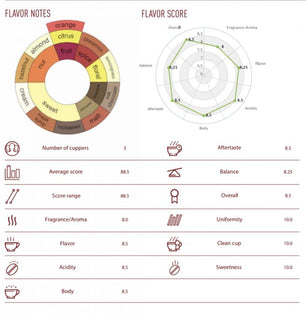 Buy NoordCode Pure Coffee Light Roast Whole Beans 250g at LiveHelfi